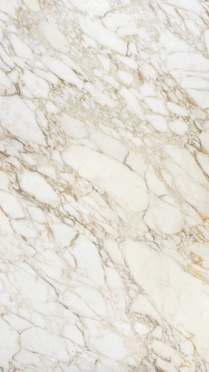 Calacatta Gold Marble